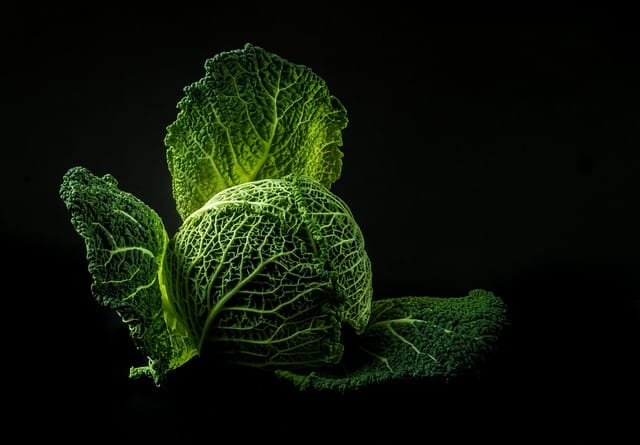 How to grow Cabbages