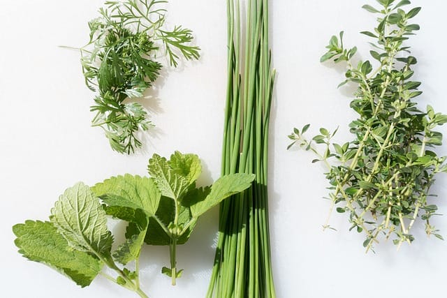 How to grow Lemon thyme