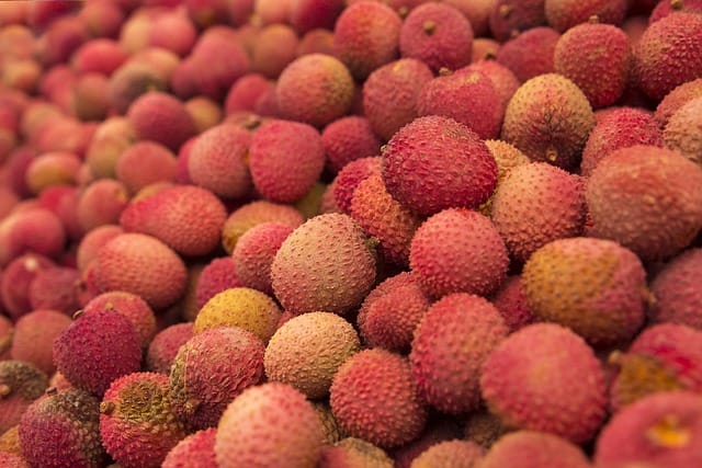 How to grow Lychees